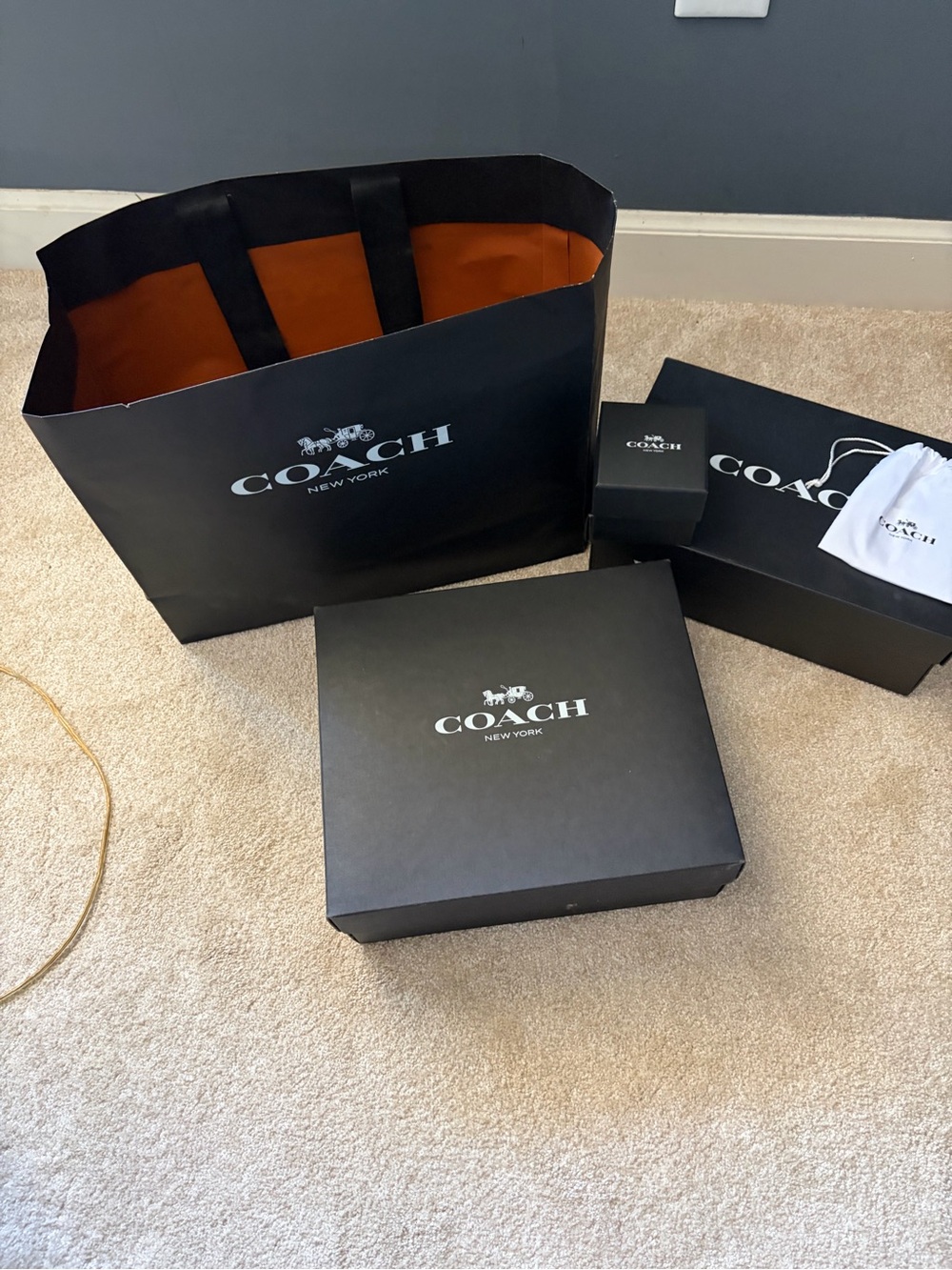 Coach gift bag and boxes.